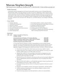 Summary For A Resume Examples Professional Summary Resume Examples
