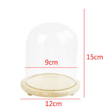 25cm Extra Large Glass Dome Display