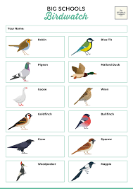 In the past i have seen robins, woodpeckers, wrens and starlings to name a few. Download Your Counting Checklist For The Rspb S Big School Bird Watch Great For Primary School Kids Educational Resources Online Teaching Resources Education