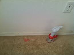 diy paint spill on carpet my floor