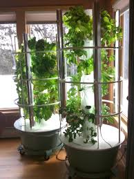 Check spelling or type a new query. Winter Vegetable Growing Backyard Tower Garden