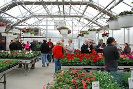 Maybe you would like to learn more about one of these? Madsen S Greenhouse Flowers Vegetables Seeds West Bend Ia
