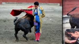 Ricardo rivera sale de la clínica y piensa ya en el toro - Burladero TV