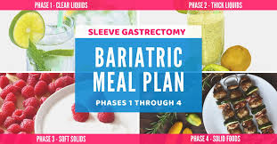 meal planning for sleeve gastrectomy