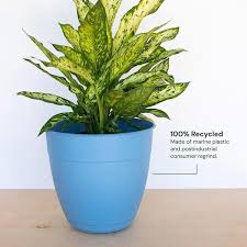 bloem dayton plastic planter 12 inch ocean blue