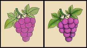 vẽ chùm nho và tô màu (2) - Vẽ trái cây - How to draw Grape (2) - YouTube