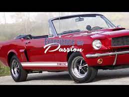 1966 shelby gt350 convertible you