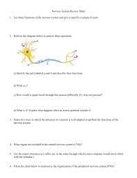 Nervous System Review Sheet