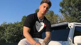 What does Austin McBroom own?