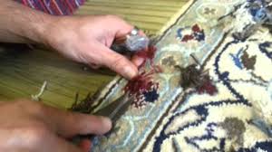 persian rug repair nain repair moth