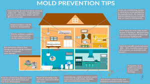 proven mold prevention tips for homes