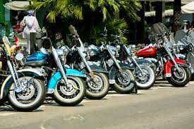 harley davidson motorcycles parked side