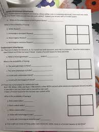 Fold or wrap the samples as tightly as possible, and place them on a paper plate. Nased Date Period Genetics Unit Review Worksheet Chegg Com