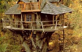 Tree Houses From The Past Into The