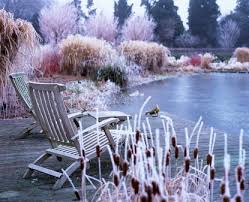 How To Plan A Winter Garden From