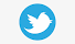 Image of Icono twitter png