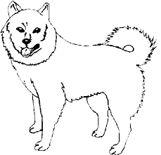 Dog Color Pages Printable Dog Coloring Pages Scroll Down To See 4689