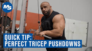 10 triceps exercises for stronger more