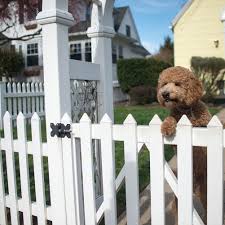 Best Fence Companies of 2021