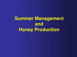summer management and honey ion