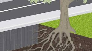 Tree Root Barrier For Containing Tree Roots