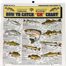 Fishermans Freshwater Fish Chart 4