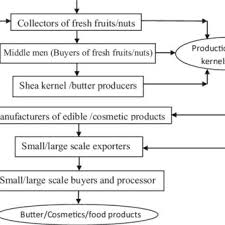 A Generalized Flow Chart Of The Shea Butter Production