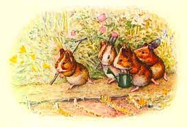 Little Garden A Beatrix Potter Poem
