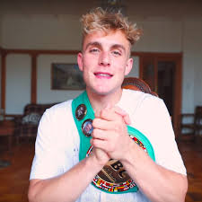 Jake paul wants to charge kids $20 a month to learn 'financial freedom'. Jake Paul S Predatory Marketing Tactics Point To Bigger Regulation Concerns The Verge