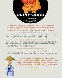 maryland pet urine odor removal