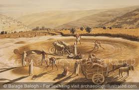 threshing floor on the temple mount