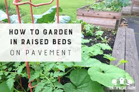 Garden In Raised Beds On Pavement