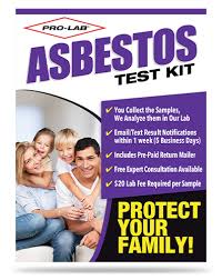 asbestos test kit pro lab