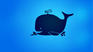 blue whale 4k wallpapers 40 000