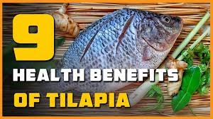 9 health benefits of tilapia you