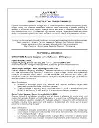 Entry Level Projectager Professional Summary Resume Examples Free