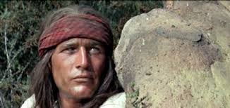Image result for paul newman in hombre