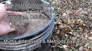 how to use wood ash in your vegetable