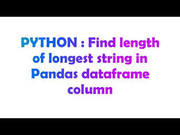 pandas dataframe column