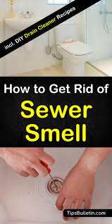 How To Get Rid Of Sewer Smell In Your House - From Basements... | Clean  shower drain, Diy drain cleaner, Smelly bathroom drain