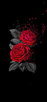 iphone rose wallpaper 204