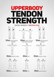 upperbody tendon strength workout