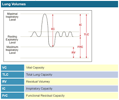 lung volumes diagram vc vital