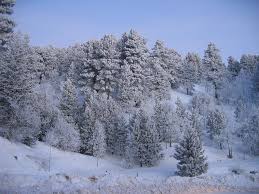 No commercial farming takes place in oymyakon and there is only a single shop to cater for the needs of the residents. What Is The Coldest Place In The World Tourist Maker