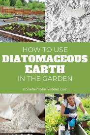 use diatomaceous earth in the garden
