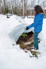 How To Grow Vegetables All Winter Long