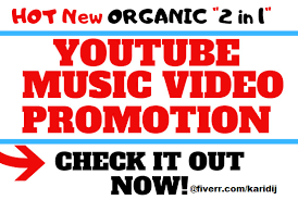 People who watch it can subscribe to your channel to get regular updates as newer videos are uploaded. I Will Do Music Promotion And Youtube Music Video Promotion Fiverrbox