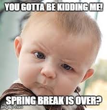 Image result for Welcome back from spring break
