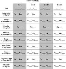 Best Exercises With The Ball Weider 8510 Exercise Chart