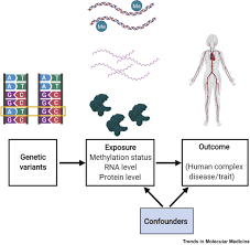 These proteins ultimately design the structure of all organisms. Strengthening Causal Inference For Complex Disease Using Molecular Quantitative Trait Loci Trends In Molecular Medicine